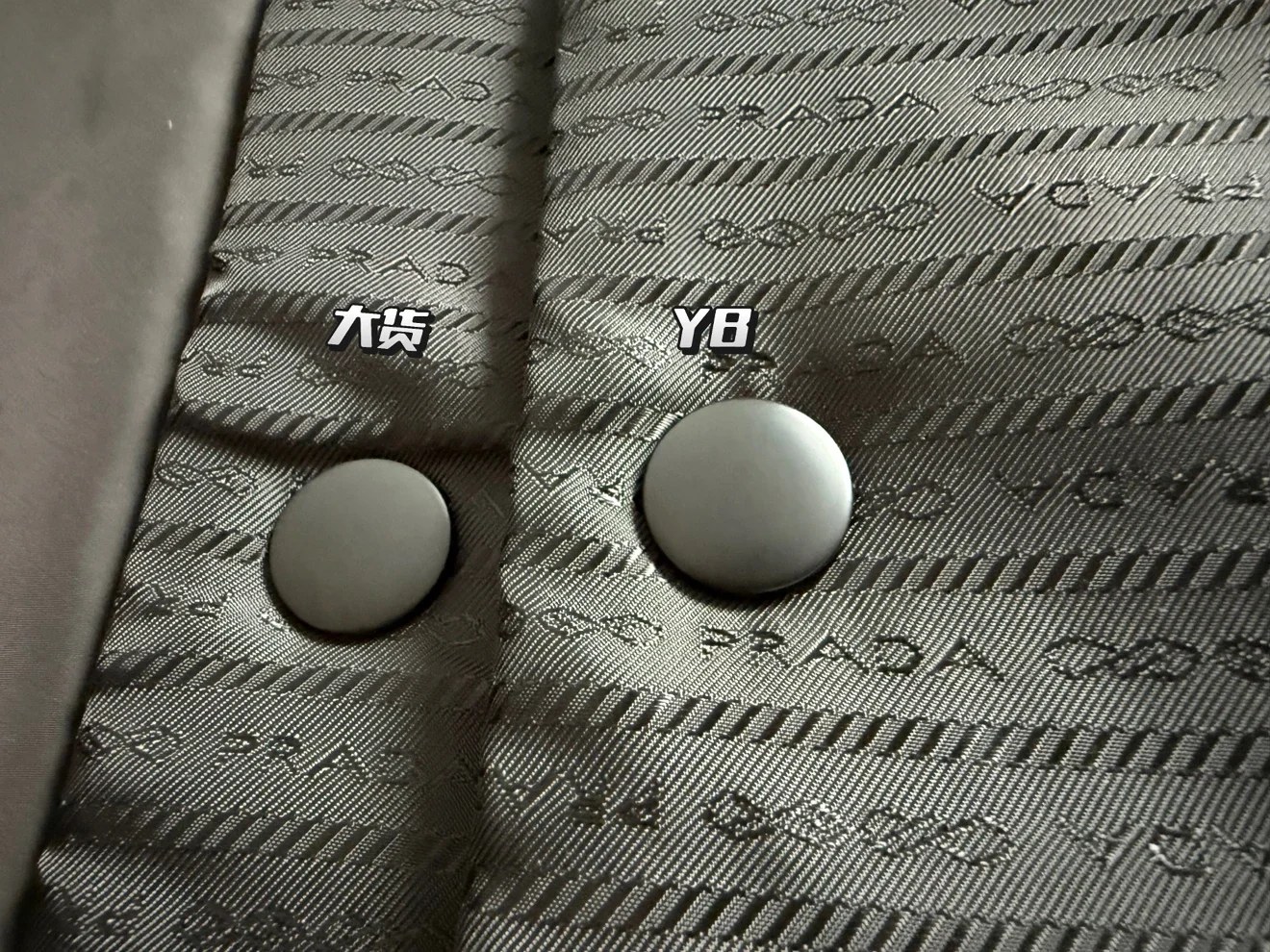 img6.jpg