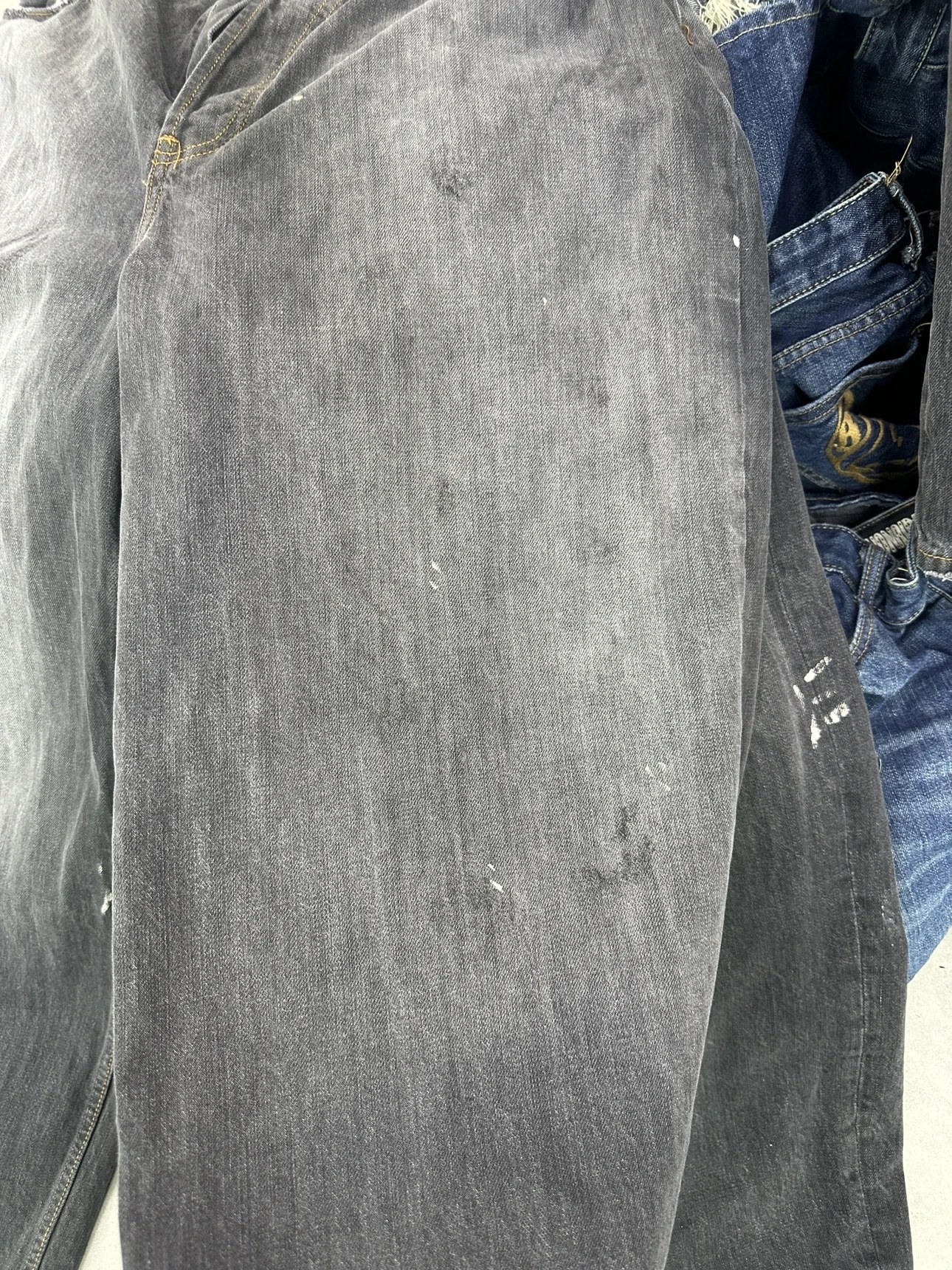 img15.jpg