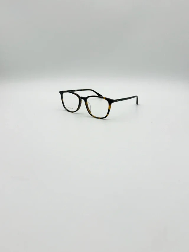 img22.jpg
