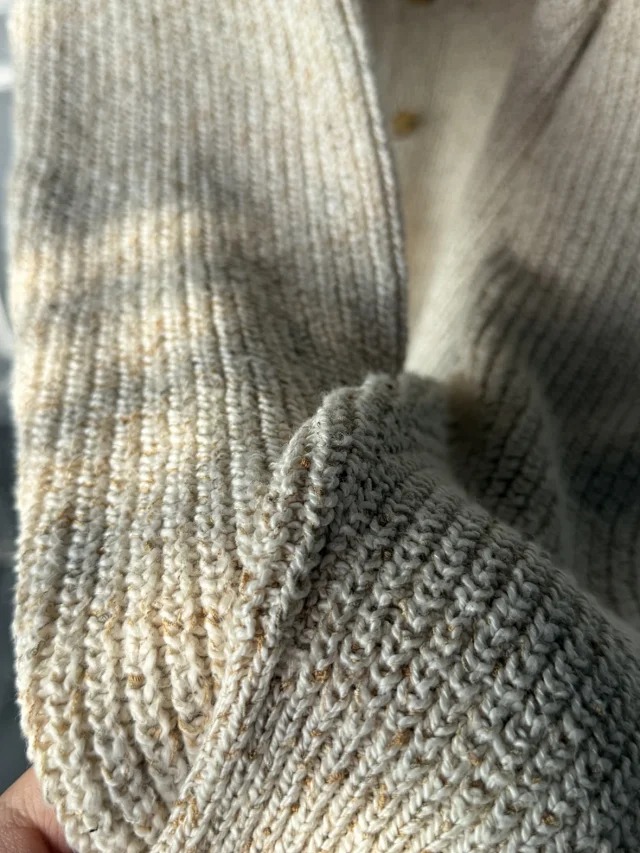 img14.jpg